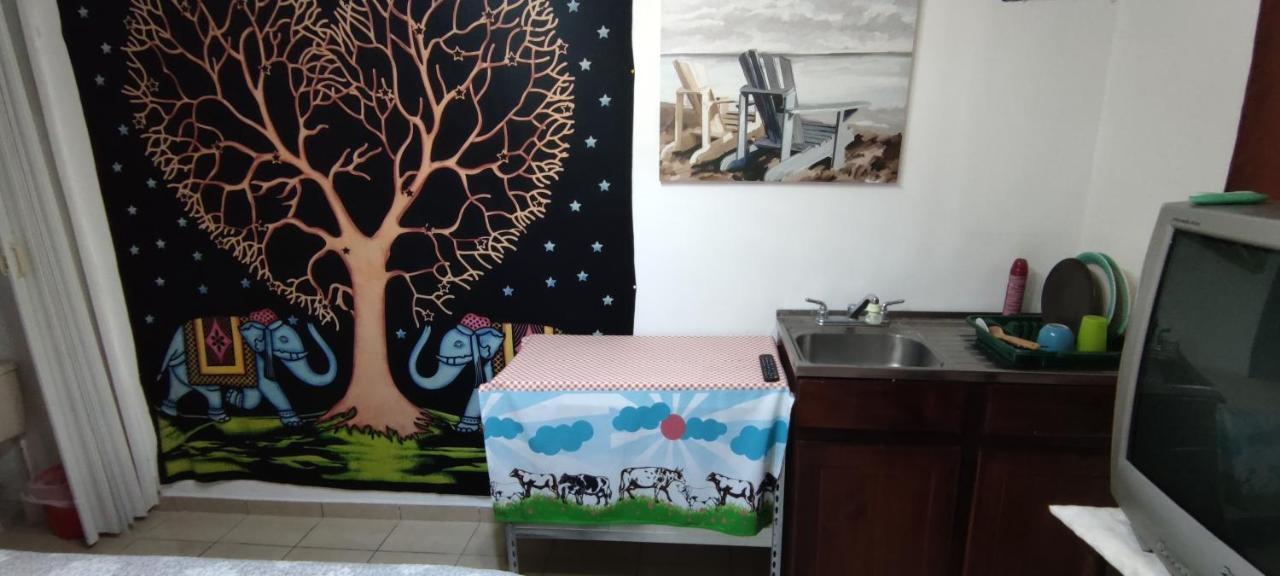 Zorobaru Casa Apartment San Jose  Bagian luar foto